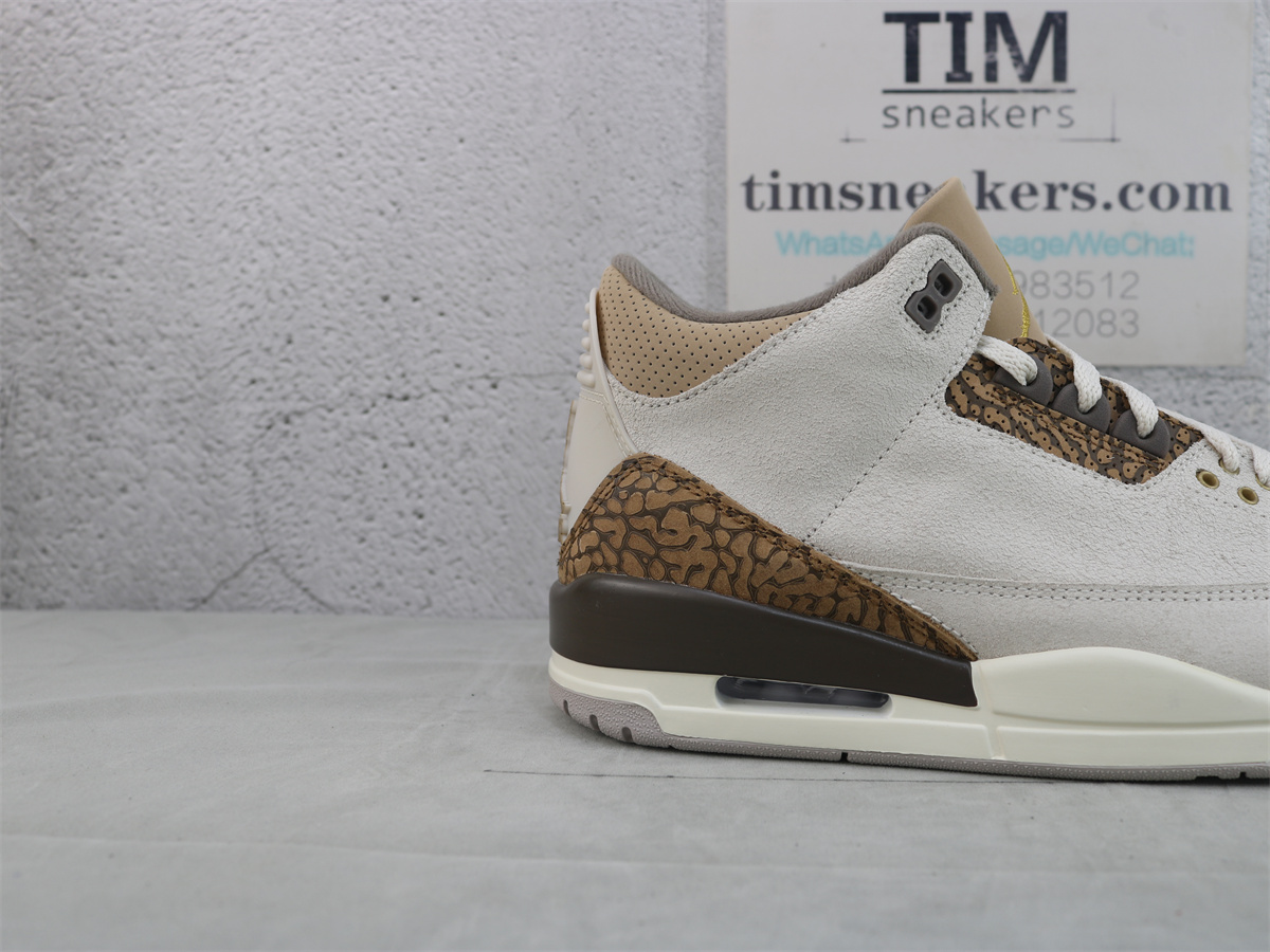 Air Jordan 3 Retro Palomino CT8532-102